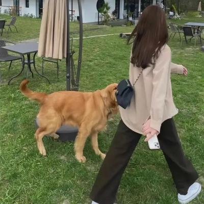女皮条客